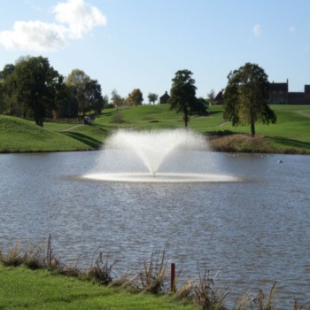 Otterbine Sunburst