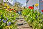 Gardena EcoLine slang 1/2", 20m incl. armatuur