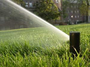 beregening van een tuin met een automatische sproeier